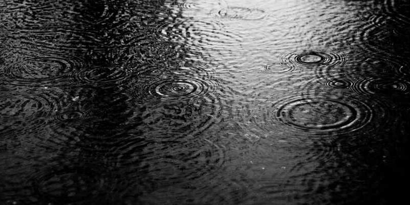 For the rain